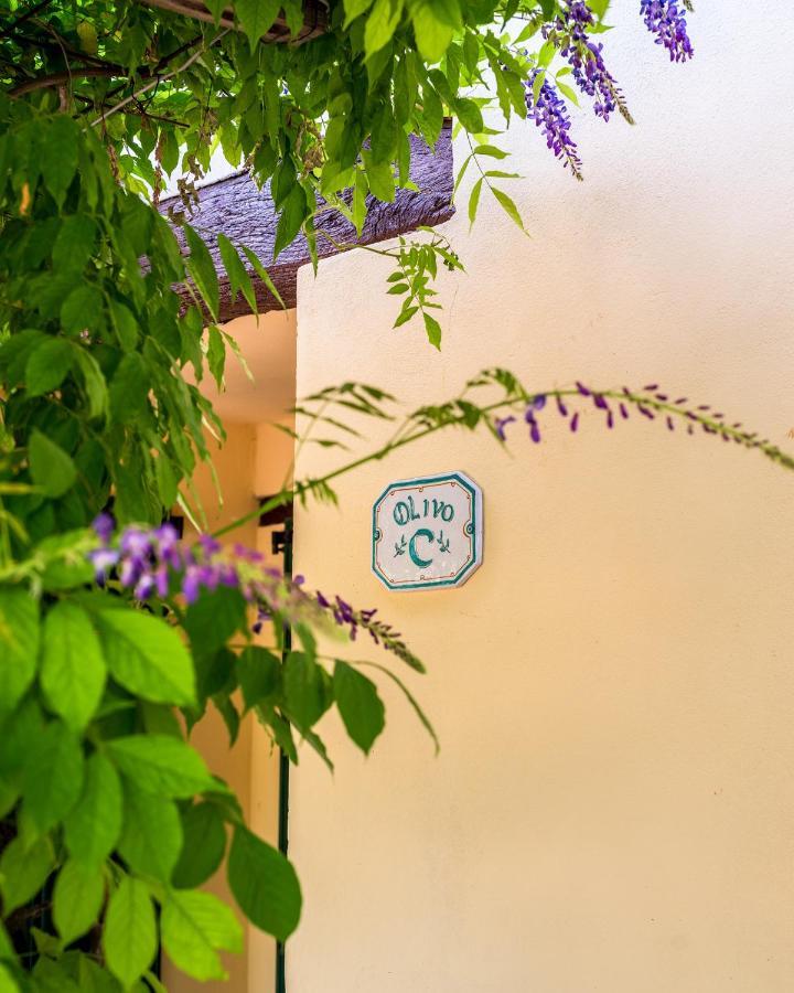 Agriturismo La Fonte Bevagna Exterior foto